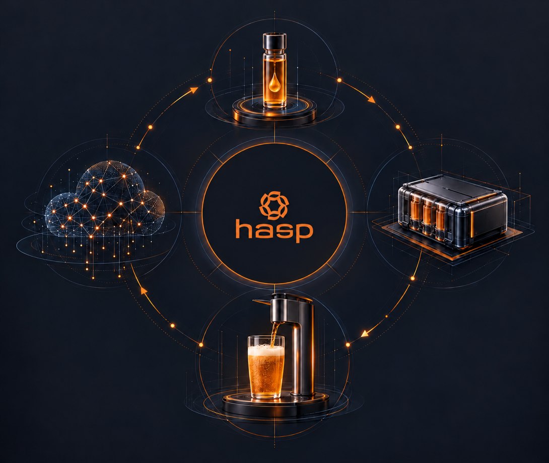HASP platform value chain: concentrate, transport, point of service and cloud intelligence